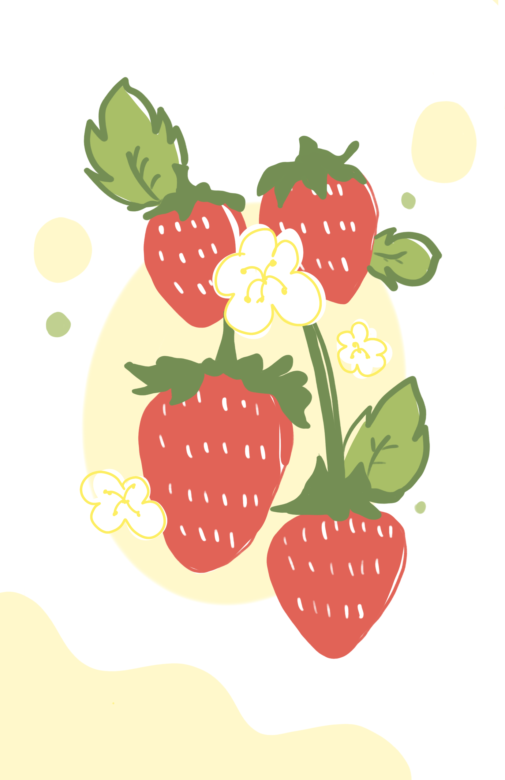 Illustrations image 7