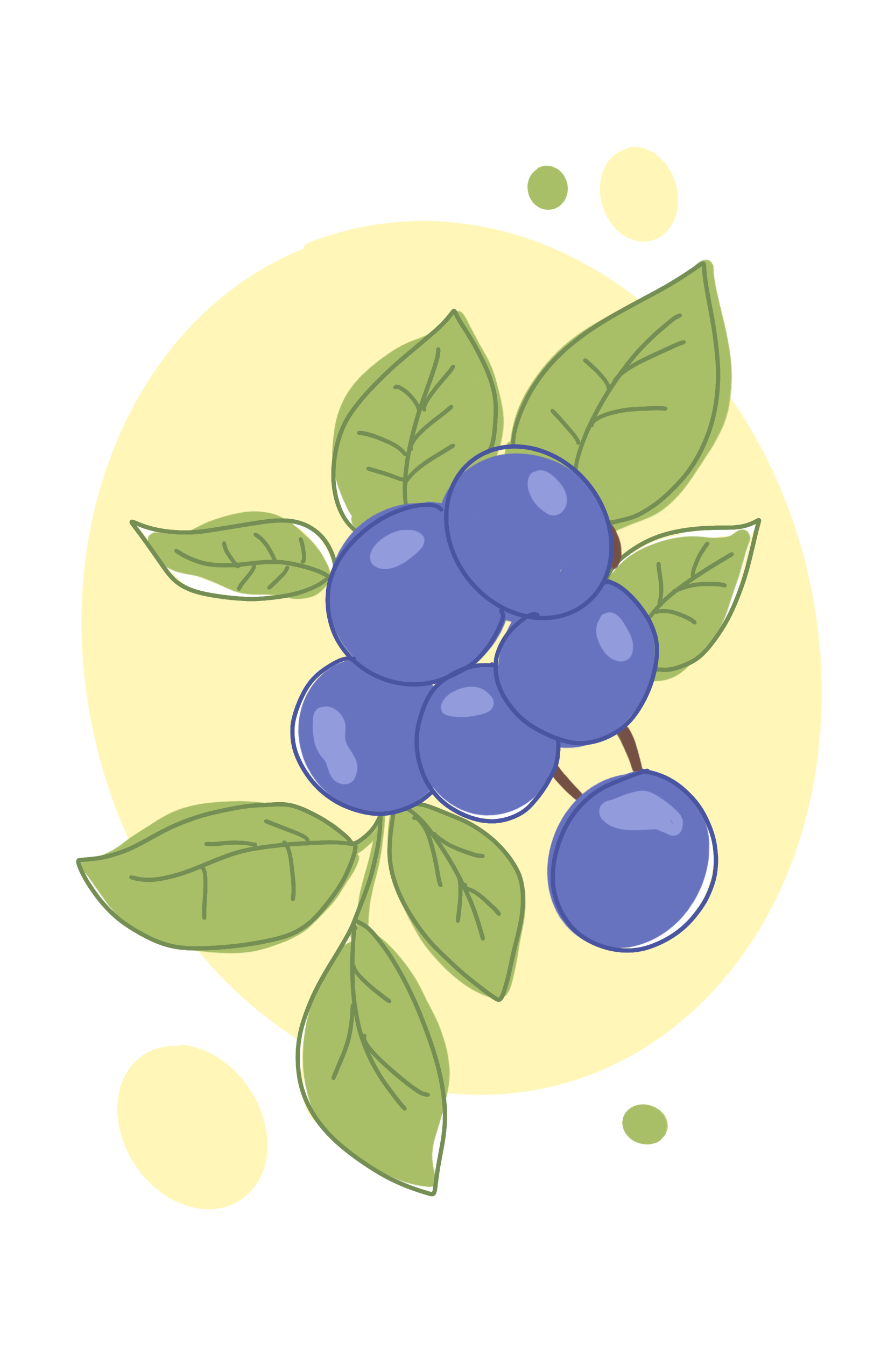 Illustrations image 8