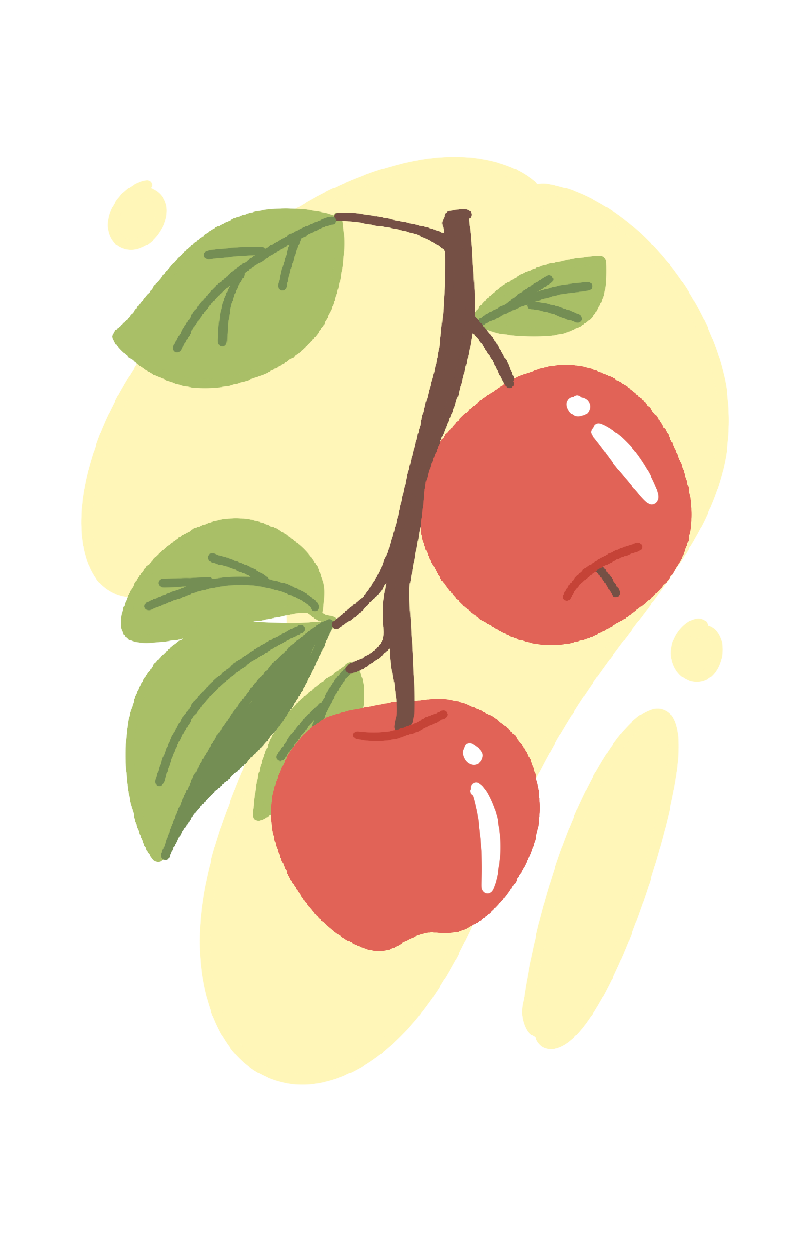 Illustrations image 11